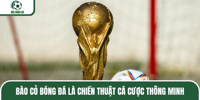 Bào cỏ bóng đá là chiến thuật cá cược thông minh
