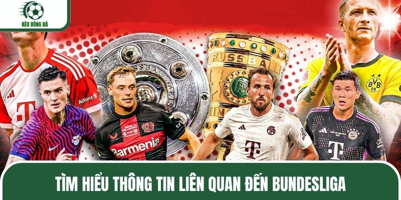 Tìm hiểu thông tin liên quan đến Bundesliga