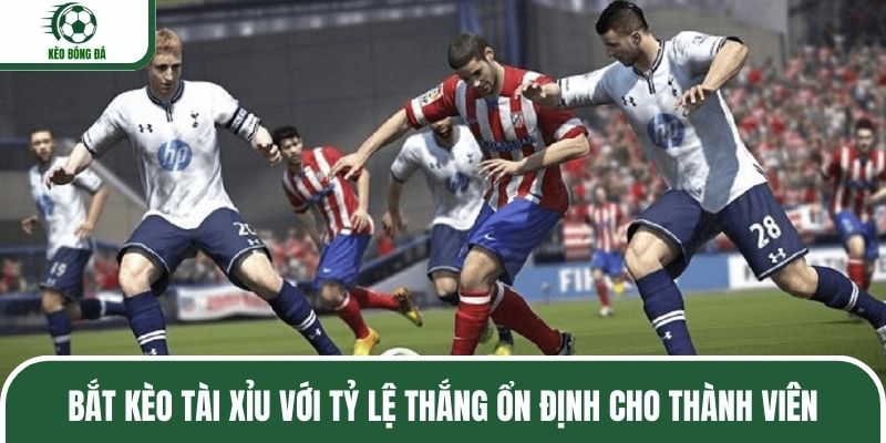 Bắt kèo tài xỉu với tỷ lệ thắng ổn định cho thành viên
