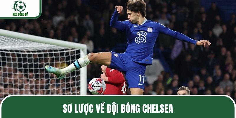 Tìm hiểu chi tiết về đội bóng Chelsea