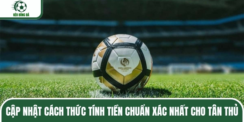Cập nhật cách thức tính tiền chuẩn xác nhất cho tân thủ