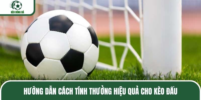 Hướng dẫn cách tính thưởng hiệu quả cho kèo đấu