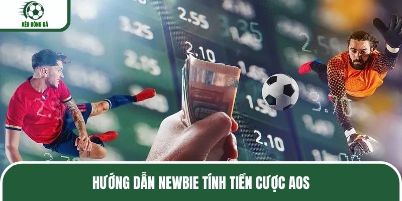 Hướng dẫn newbie tính tiền cược Aos