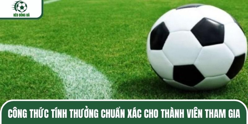 Công thức tính thưởng chuẩn xác cho thành viên tham gia