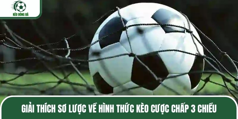 Giải thích sơ lược về hình thức kèo cược chấp 3 chiều