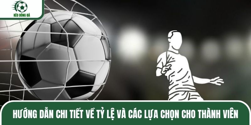 Hướng dẫn chi tiết về tỷ lệ và các lựa chọn cho thành viên