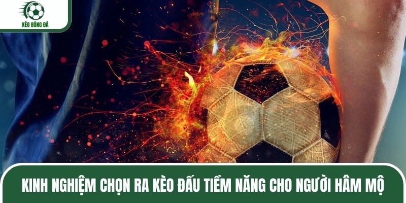 Kinh nghiệm chọn ra kèo đấu tiềm năng cho người hâm mộ