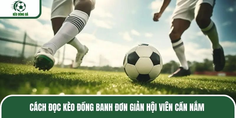 Cách đọc kèo đồng banh đơn giản hội viên cần nắm