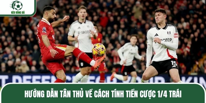 Hướng dẫn tân thủ về cách tính tiền cược 1/4 trái
