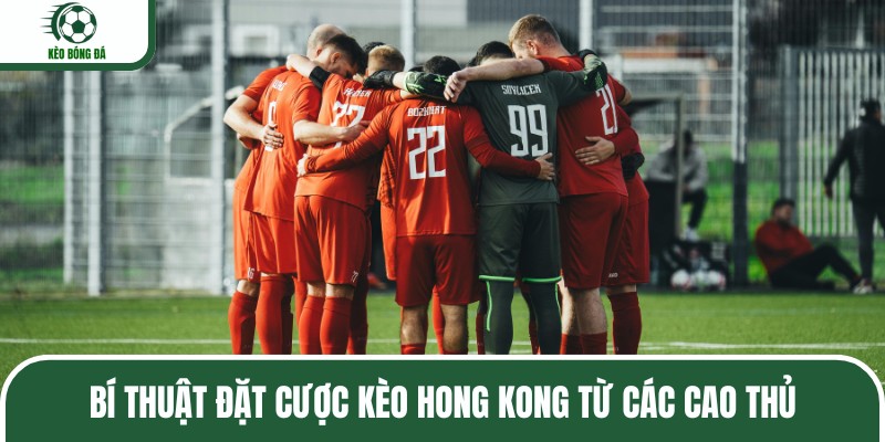 Bí thuật đặt cược kèo Hong Kong từ các cao thủ