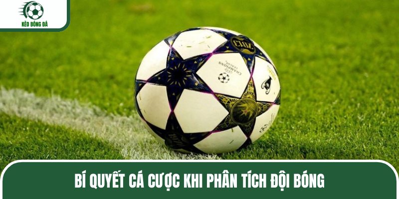 Bí quyết cá cược khi phân tích đội bóng