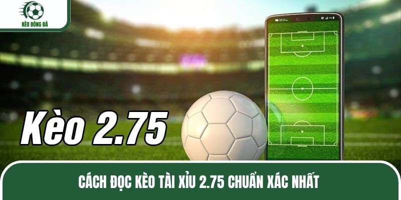 Cách đọc kèo tài xỉu 2.75 chuẩn xác nhất