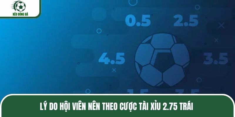 Lý do hội viên nên theo cược tài xỉu 2.75 trái