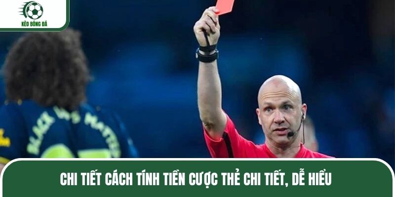 Chi tiết cách tính tiền cược thẻ chi tiết, dễ hiểu