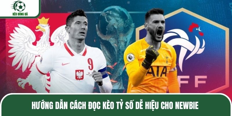 Hướng dẫn cách đọc kèo tỷ số dễ hiệu cho newbie