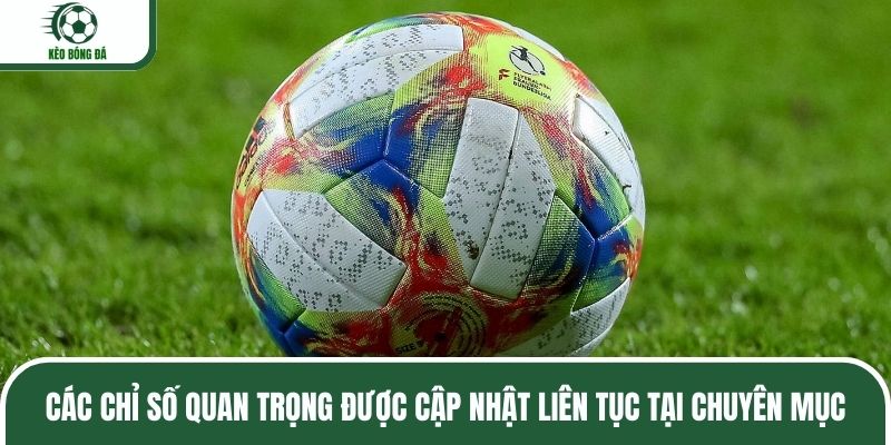 Các chỉ số quan trọng được cập nhật liên tục tại chuyên mục