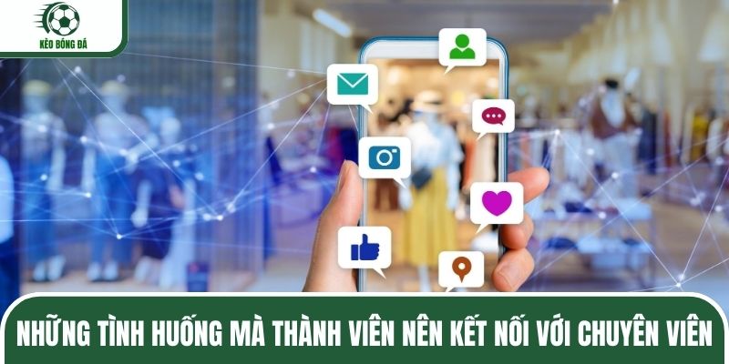 Những tình huống mà thành viên nên kết nối với chuyên viên