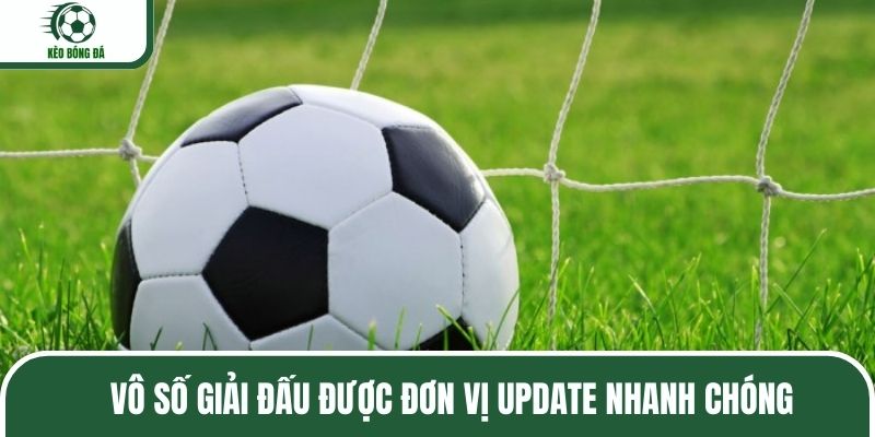 Vô số giải đấu được đơn vị update nhanh chóng