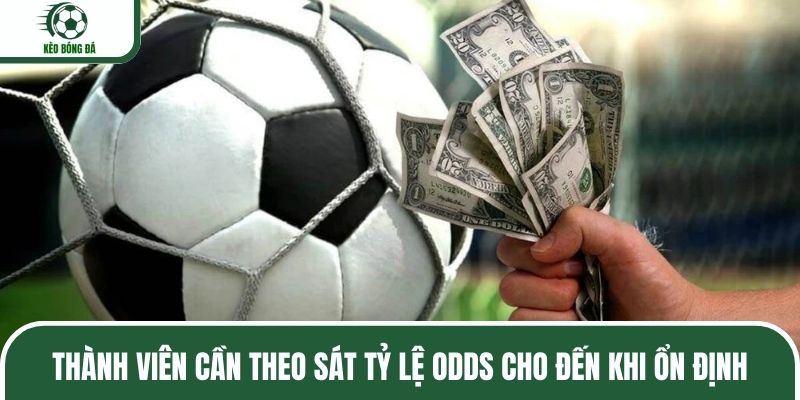 Thành viên cần theo sát tỷ lệ Odds cho đến khi ổn định