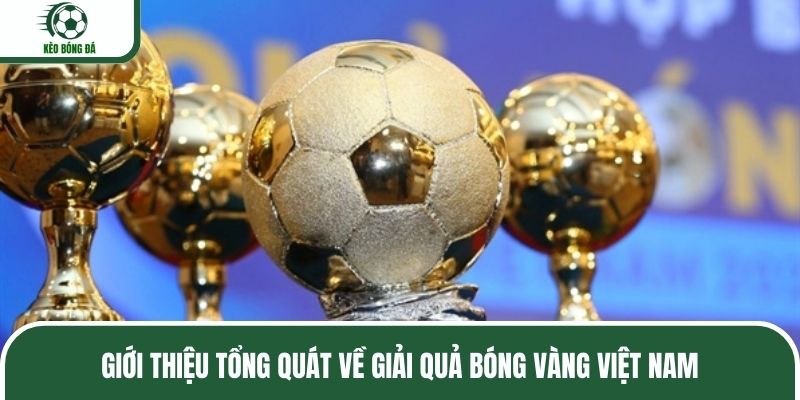 Giới thiệu tổng quát về giải quả bóng vàng Việt Nam