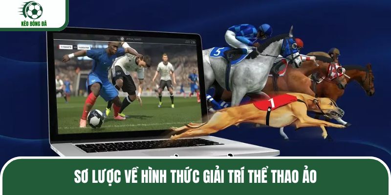 Sơ lược về hình thức giải trí thể thao ảo