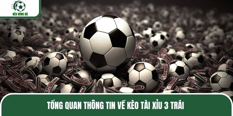 Tổng quan thông tin về kèo tài xỉu 3 trái