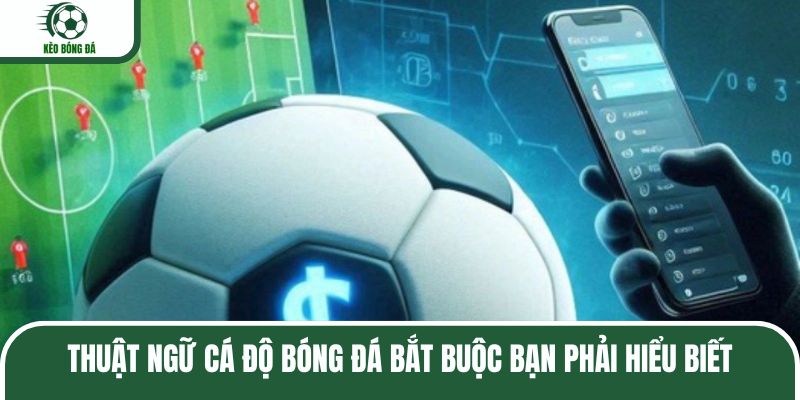 Thuật ngữ cá độ bóng đá bắt buộc bạn phải hiểu biết