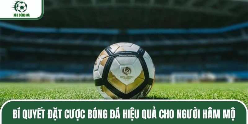 Bí quyết đặt cược bóng đá hiệu quả cho người hâm mộ
