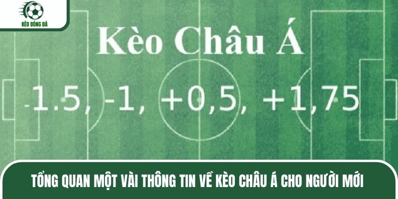 Tổng quan một vài thông tin về kèo châu Á cho người mới