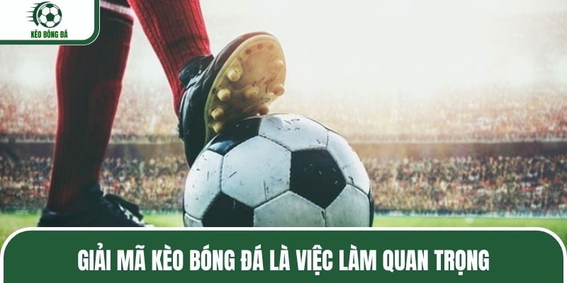Giải mã kèo bóng đá là việc làm quan trọng