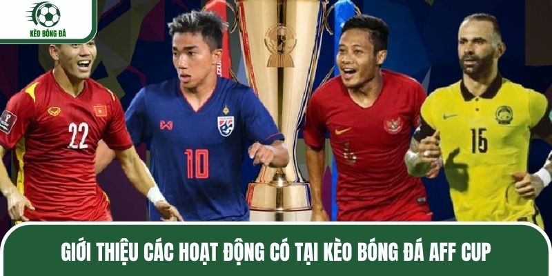 Giới thiệu các hoạt động có tại kèo bóng đá AFF Cup