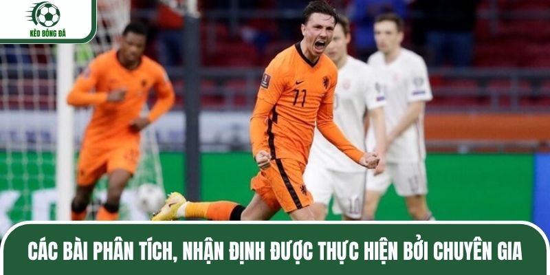 Các bài phân tích, nhận định được thực hiện bởi chuyên gia
