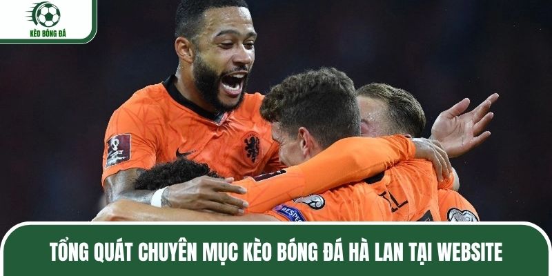 Tổng quát chuyên mục kèo bóng đá Hà Lan tại website