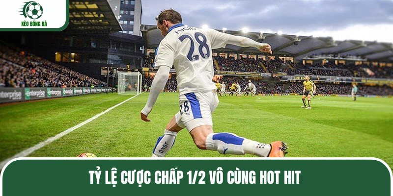 Tỷ lệ cược chấp ½ vô cùng hot hit