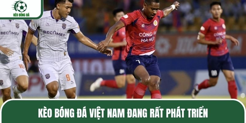 Kèo bóng đá Việt Nam đang rất phát triển