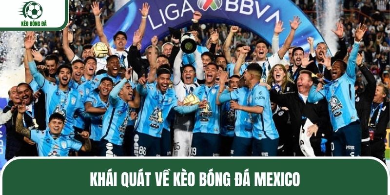Khái quát về kèo bóng đá Mexico