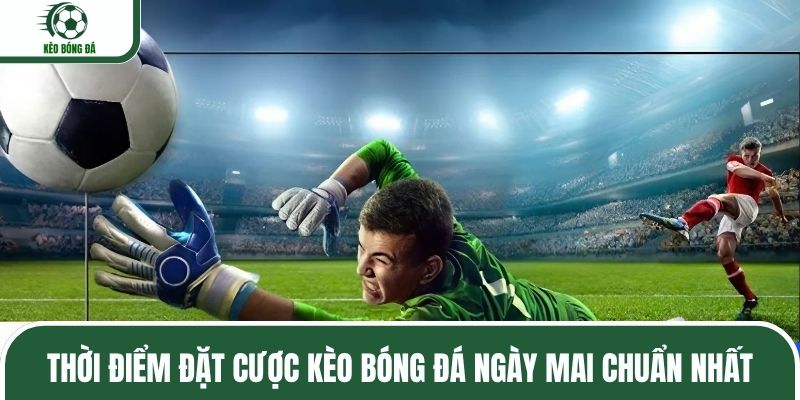 Thời điểm đặt cược kèo bóng đá ngày mai chuẩn nhất