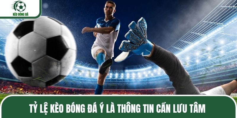 Tỷ lệ kèo bóng đá Ý là thông tin cần lưu tâm