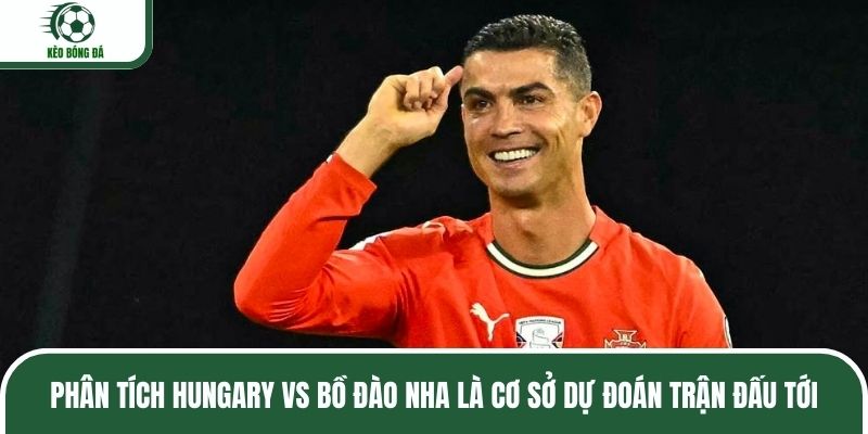 Phân tích Hungary vs Bồ Đào Nha là cơ sở dự đoán trận đấu tới